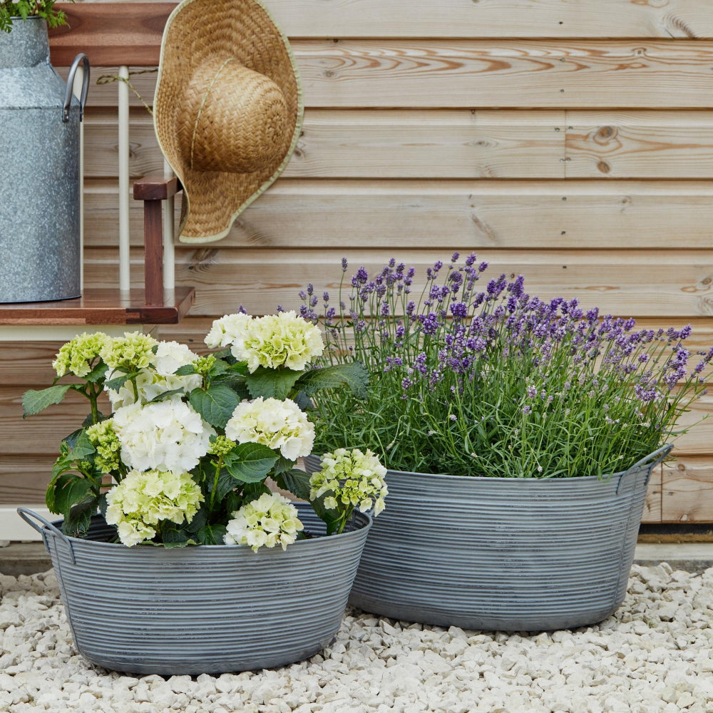 steel matlock planters with plants