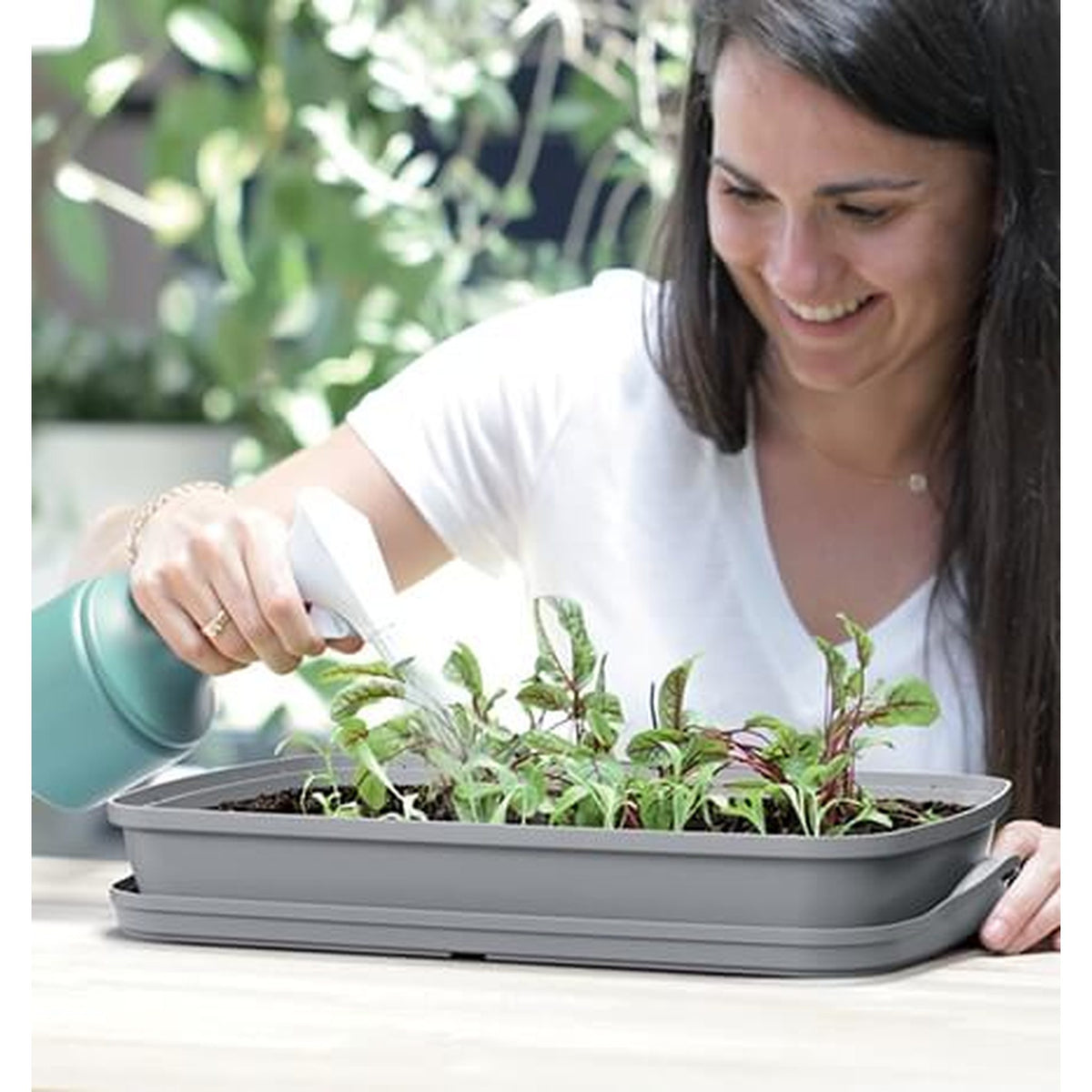 Propagator with Lid – Seedling Starter Kit