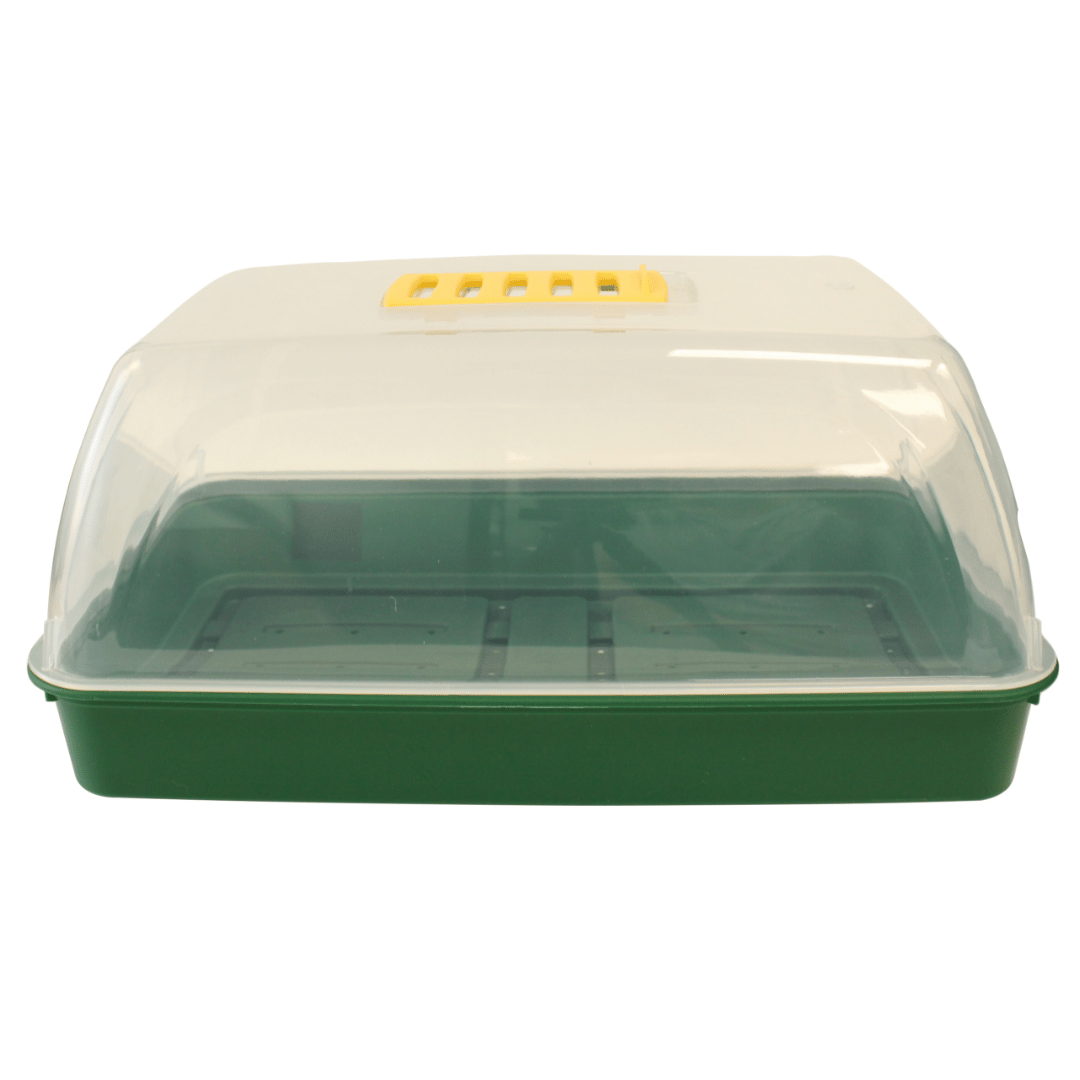 Green plastic propagator with tray and transparent lid on a white background