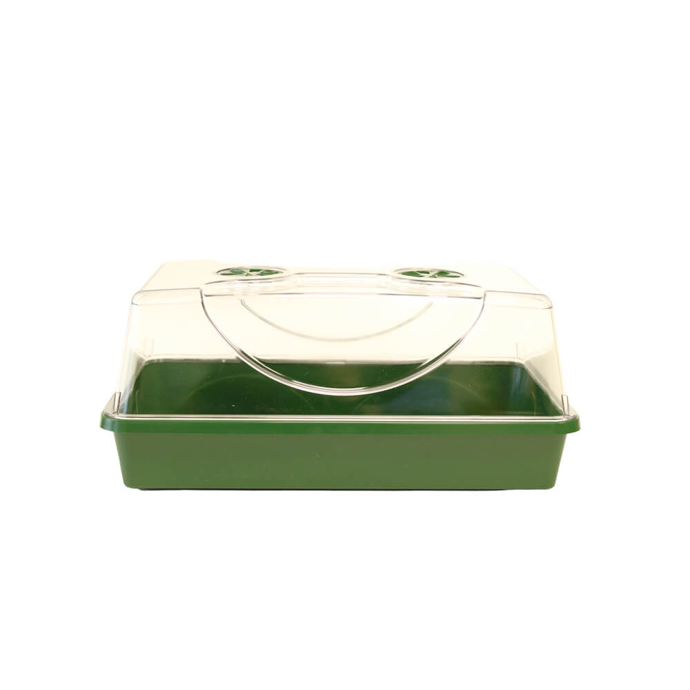 Green rectangular plastic propagator