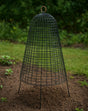 Metal garden cloche in garden