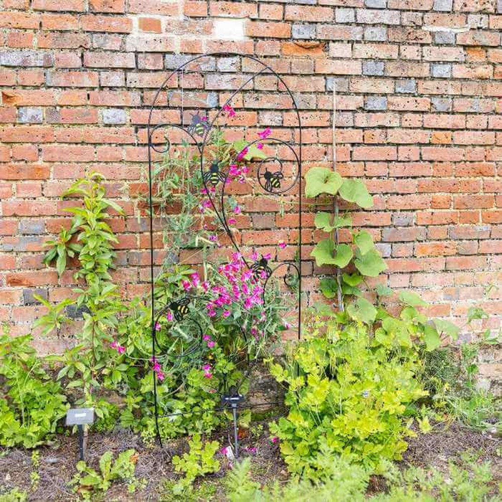 Bee Metal trellis support with climbing plants