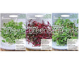 Three packs of micro green seeds