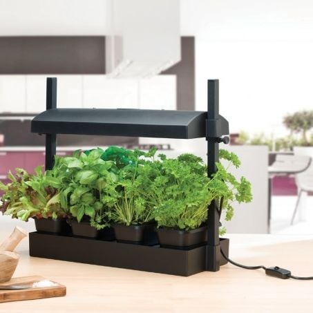 A micro grow light garden set up on a table, featuring a black frame with attached green plants in a indoor setting.