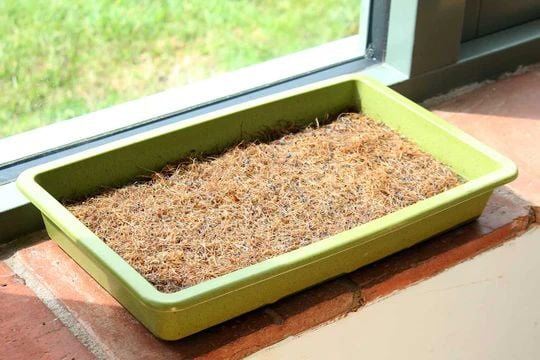 Jute Mat For Growing Microgreens (Triple Pack)