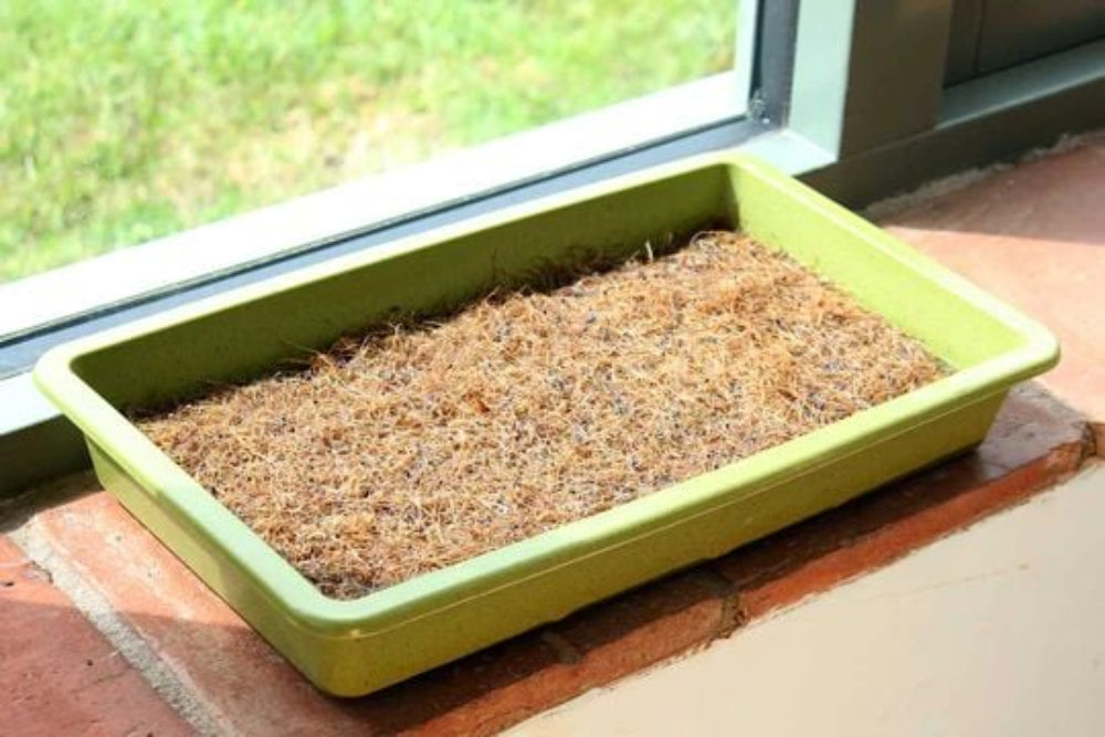 A green rectangular jute mat filled with soil, placed on a windowsill, used for growing microgreens.