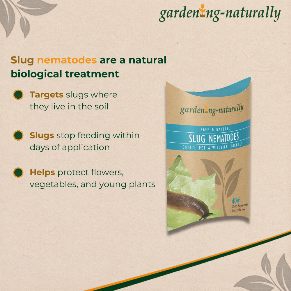 Package of 'garden naturally' slug nematodes with text about their benefits on a beige background.