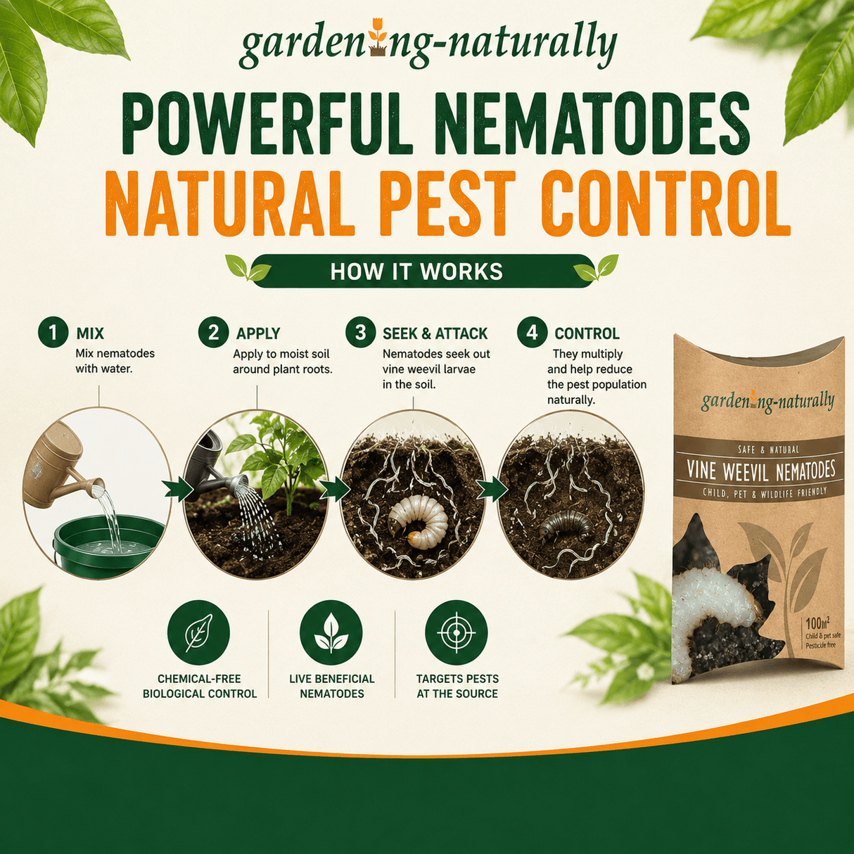 Promotional graphic for gardening-naturally Powerful Nematodes Natural Pest Control, showing a product bag, four illustrated steps of how it works, and green leaf graphics on a cream background.