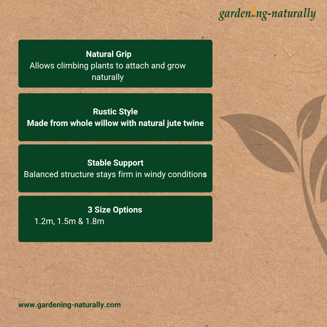 benefits of of garden obelisk