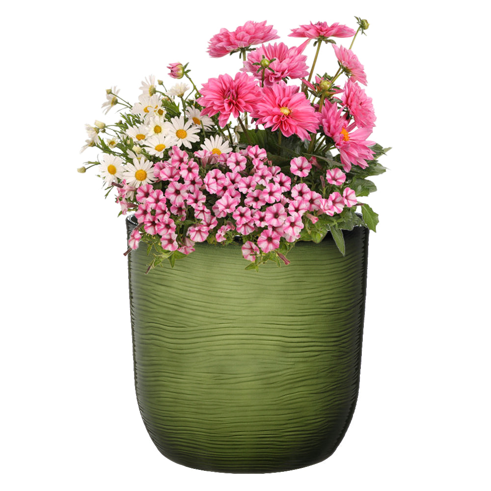 garden indoor outdoor plant pot with flowers in