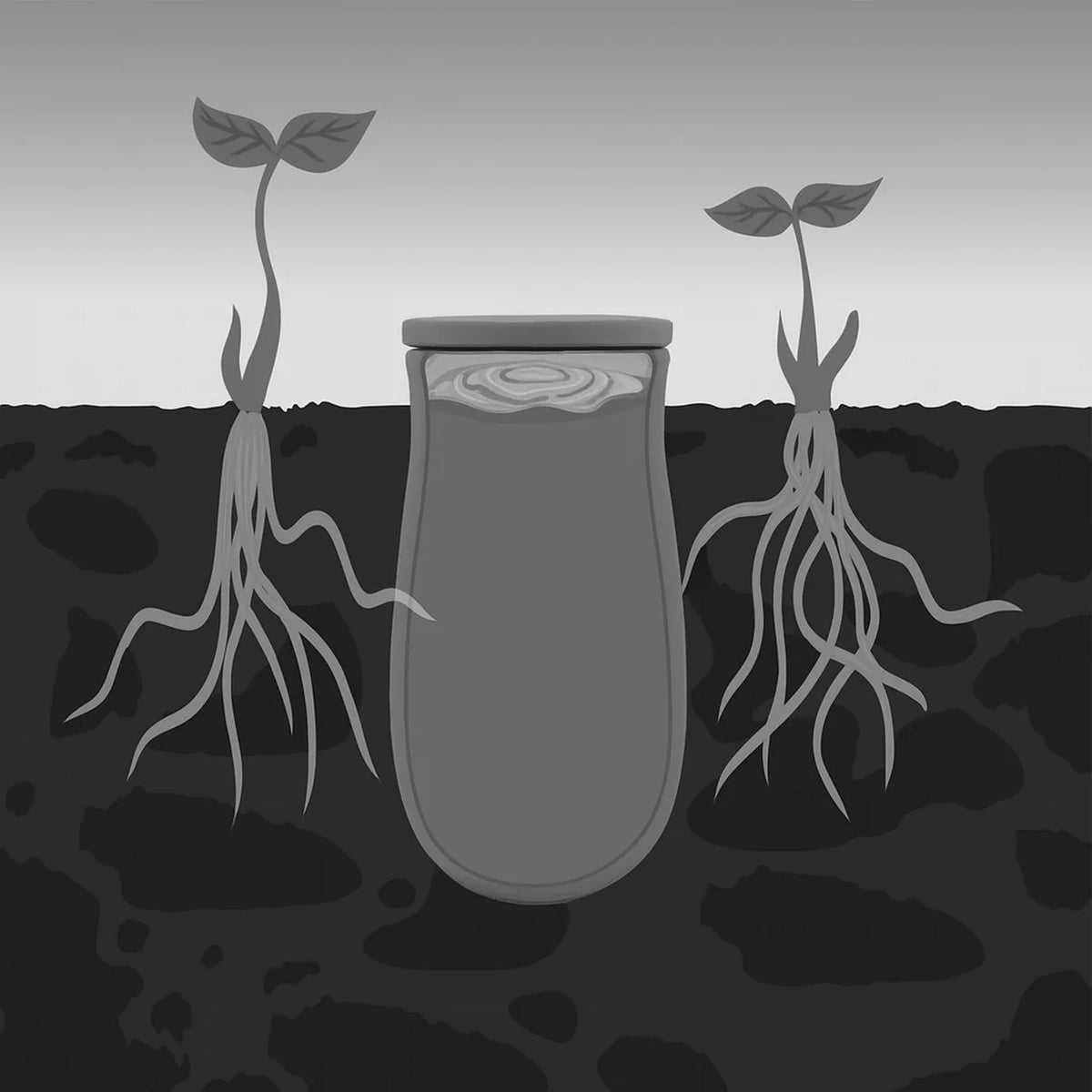 Olla Watering Pot Clay Irrigation System (Set of 2)
