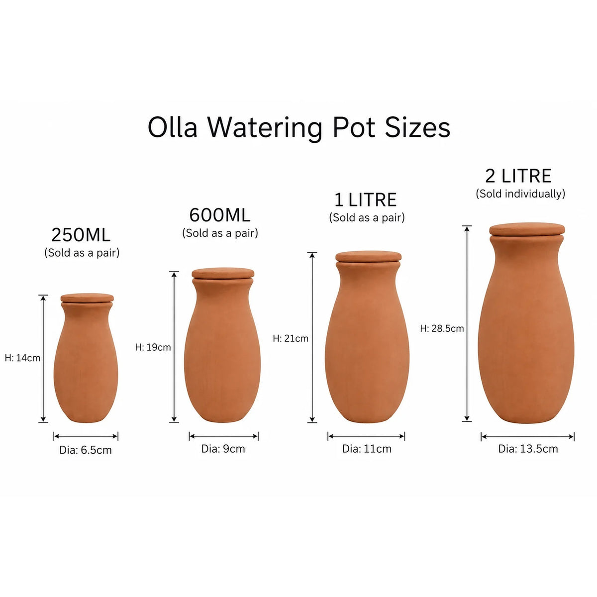 olla watering pot sizes