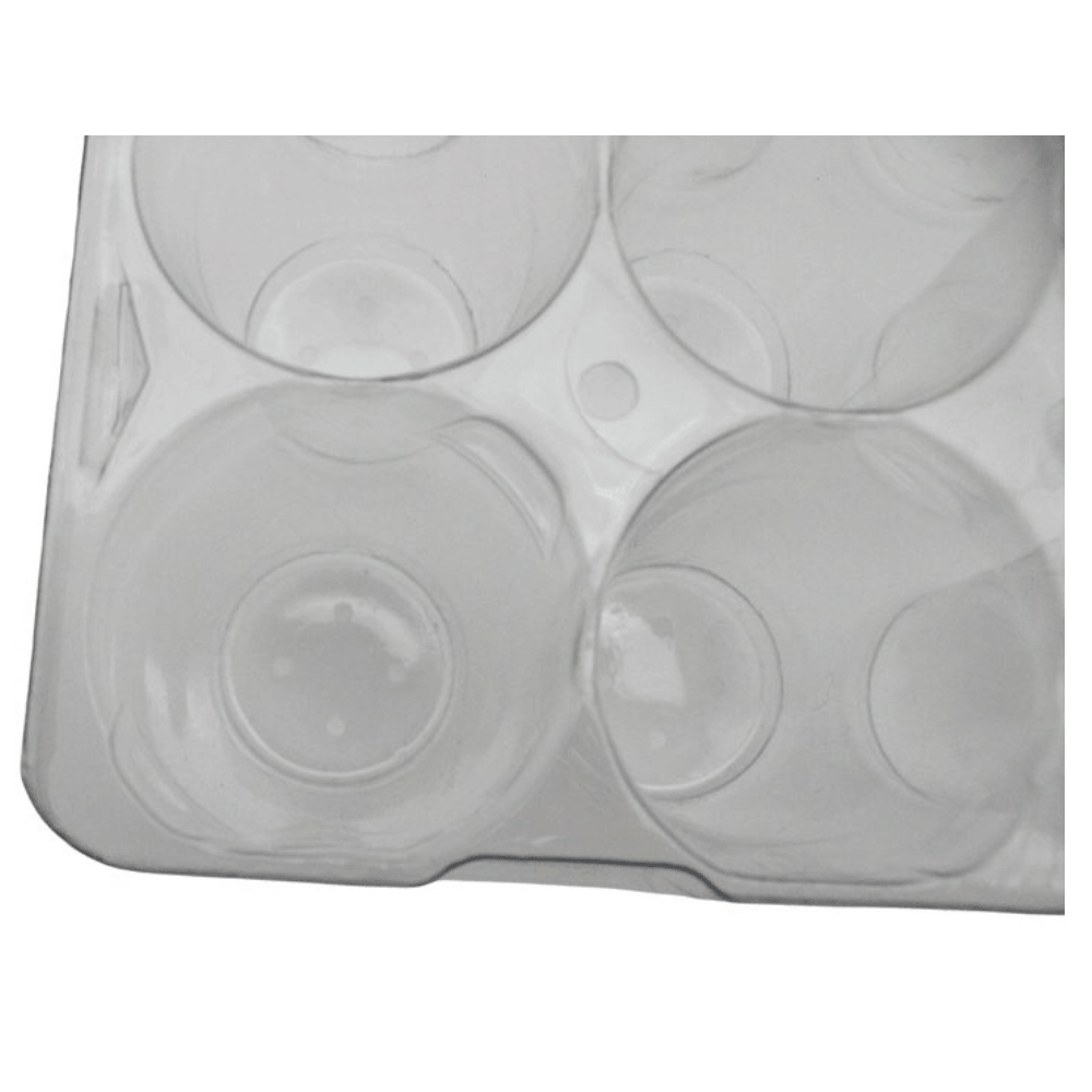 A clear orchid plant tray with four circular recesses, shown against a plain white background.