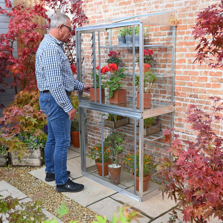 mini wall greenhouse with plants inside