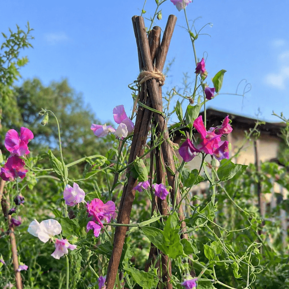 Floral arrangement with pink and white flowers on a wooden stake against a blue sky.