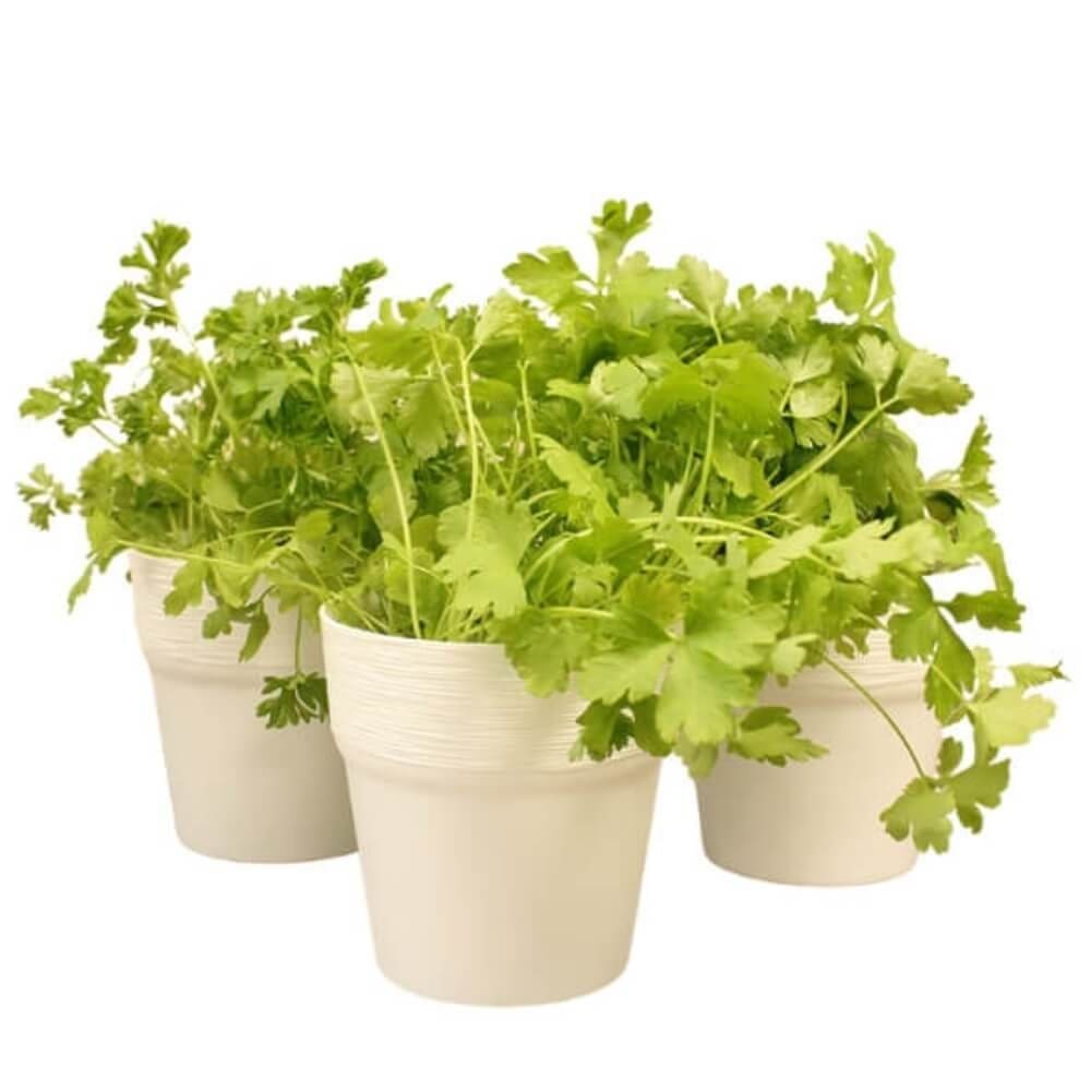 12cm Plant Pots White Grey or Copper