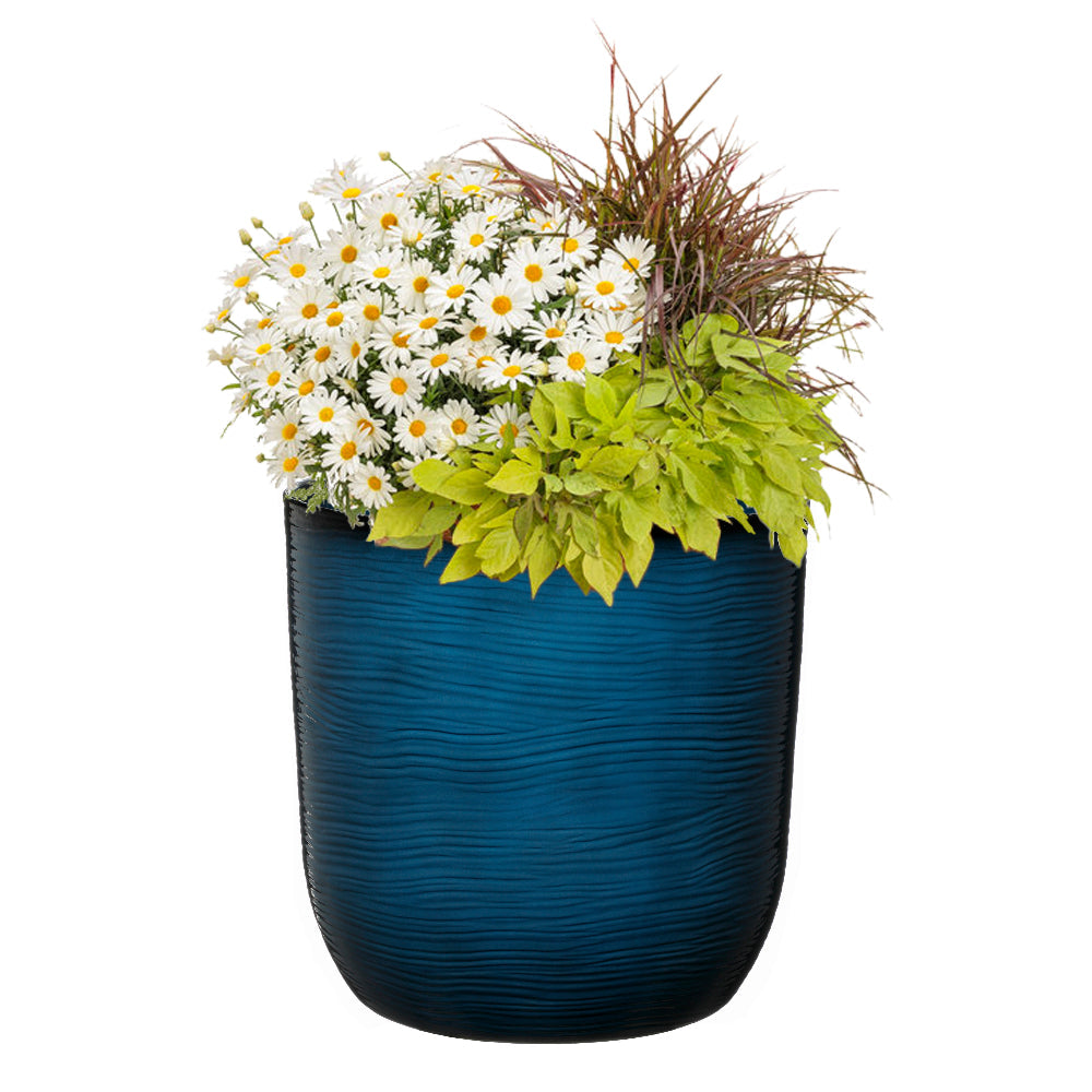 blue cactus garden plant pot ribbed with plants in