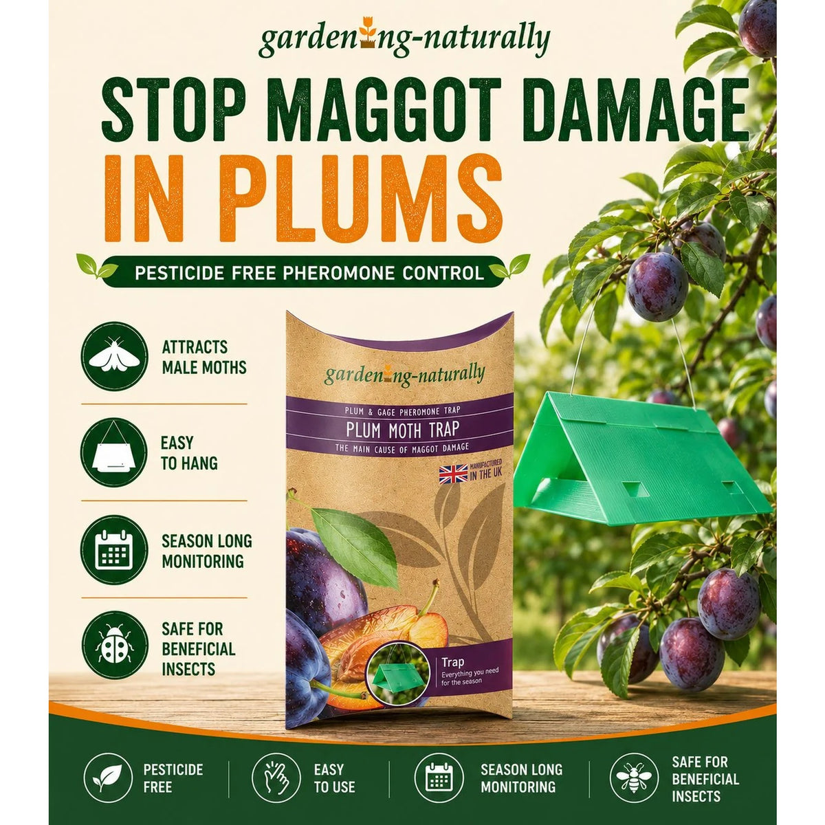 plum moth traps showing it damages plums