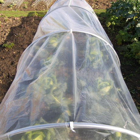 Clear polythene film used for plant protection in a garden, covering a bed of leafy vegetables under garden hoops