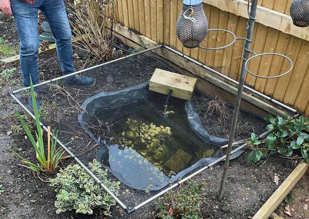 Small garden pond with a metal cover, surrounded by plants and a wooden fence.