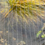 Close-up of black pond netting with a mesh size suitable for protecting fish from cats and birds, and preventing debris from entering the pond.