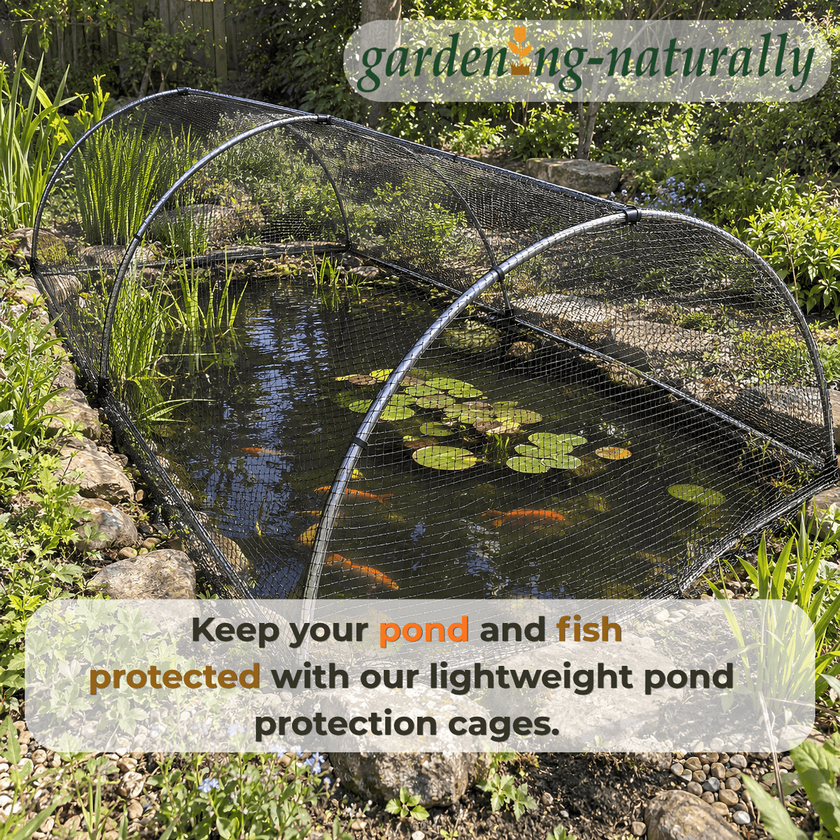 keep your pond protected
