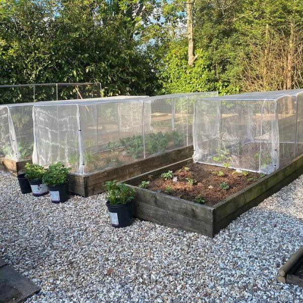 A set of portable square cloche tunnels with a domed cage design, used to protect plants in a garden setting. The tunnels are set on a gravel surface and there are potted plants beside them.