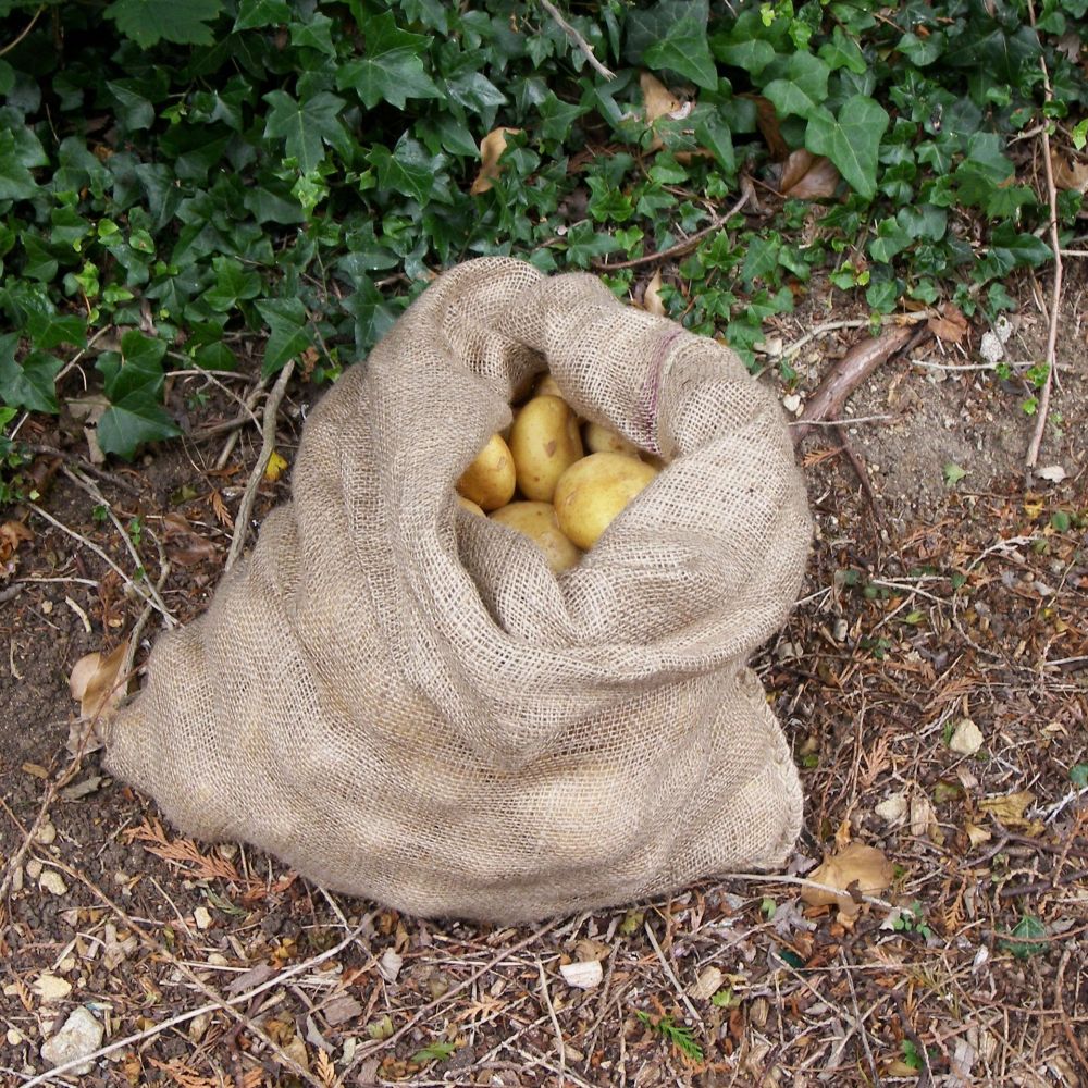 Potato sack filled with potatoes on the ground with greenery in the background