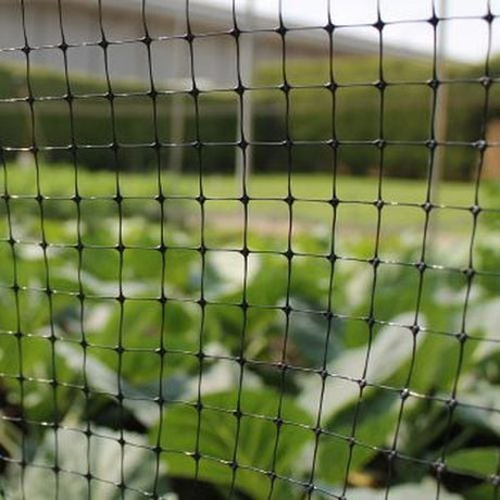 Close-up of black poultry and fruit cage netting with a blurred background showing greenery, likely a garden or fruit cage area.