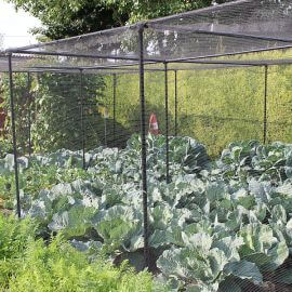 black aluminium vegetable cage full of cabbages