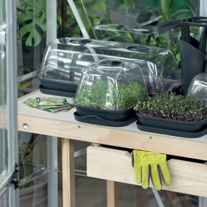 Propagator with Lid – Seedling Starter Kit
