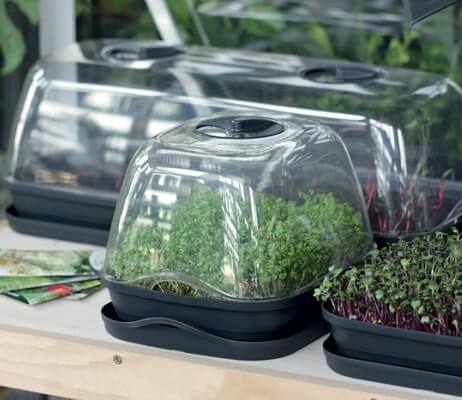 Propagator with Lid – Seedling Starter Kit