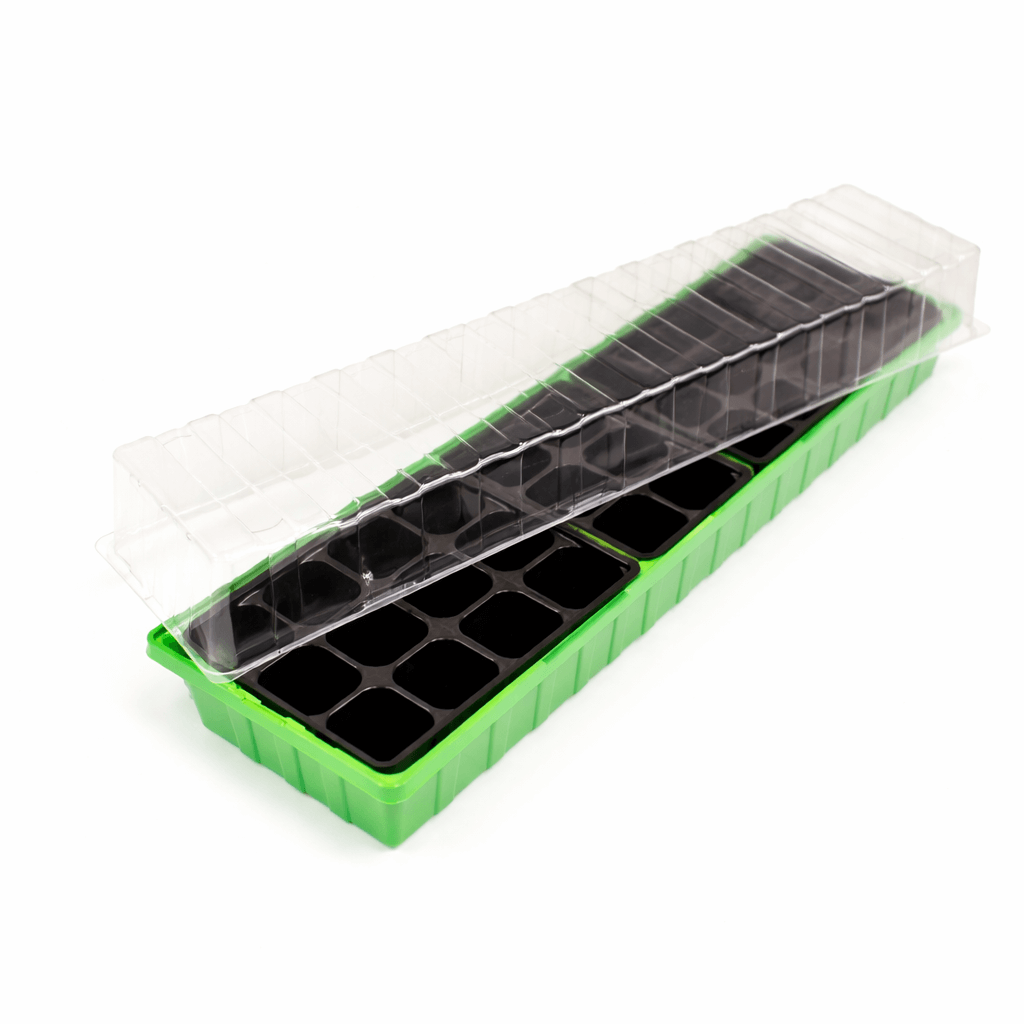 Green seedling tray with clear lid on a white background