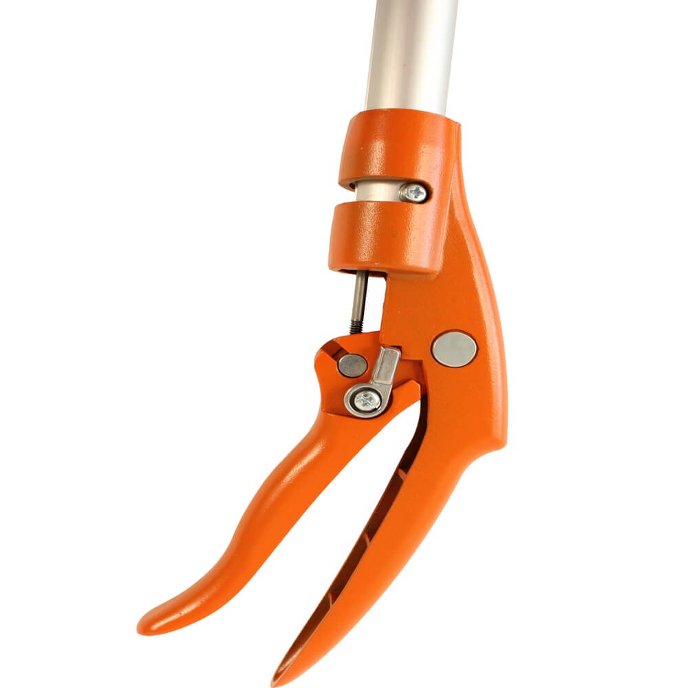 Orange garden pruner on a white background