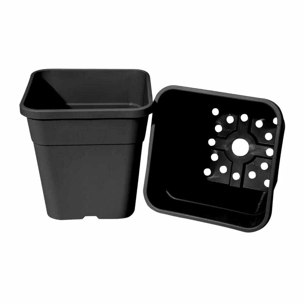 QuadGrow and Cloche Set