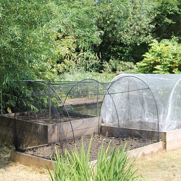 Flexible garden hoops in garden with butterfly net on raised bed