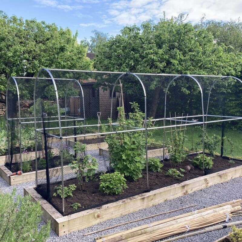 A domed aluminium fruit or vegetable walk-in cage installed over a garden bed, with plants growing inside.