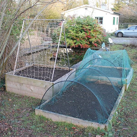 raised beds with pea and bean netting