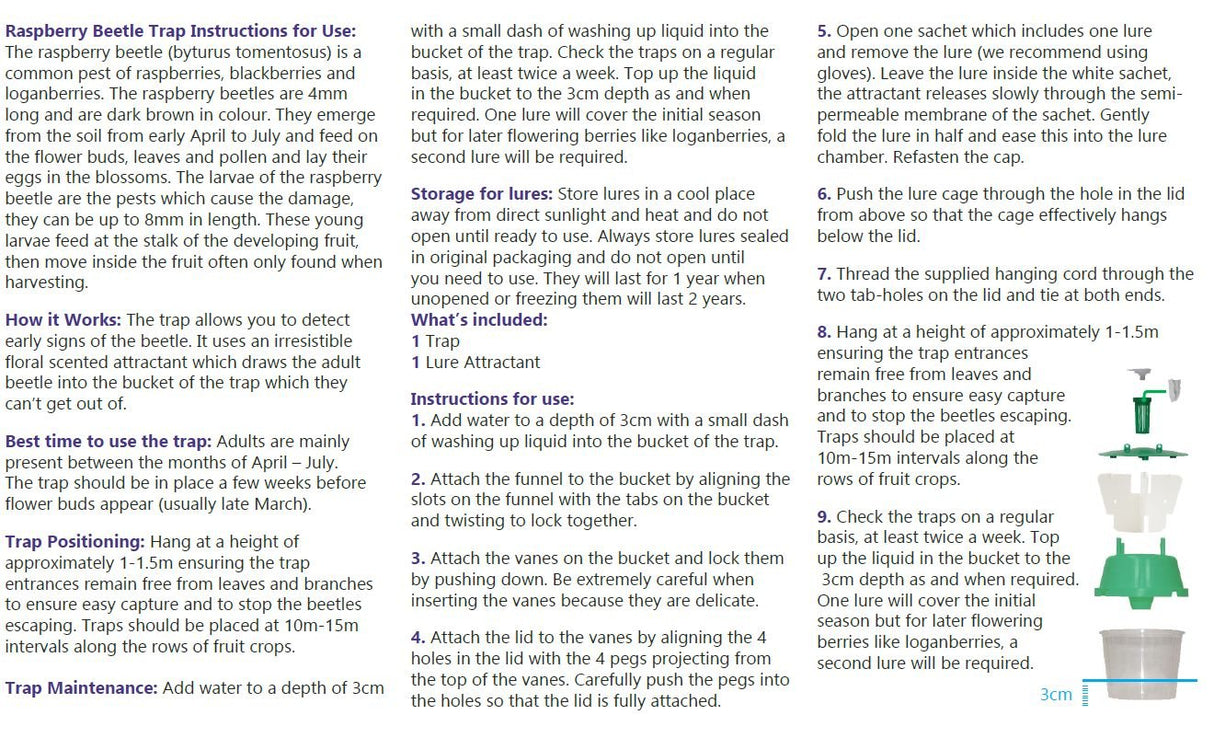 Raspberry beetle trap instructions how to use and how to assemble trap