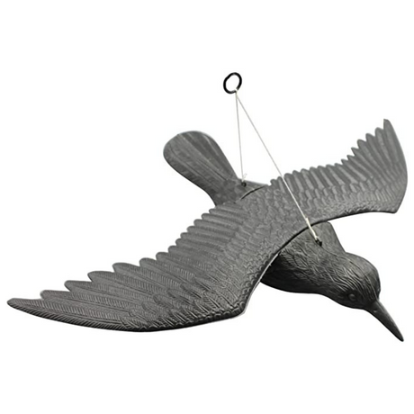 A life-like, detailed raven bird scarer with wings spread, made from plastic, with a white string attached to the top for hanging.