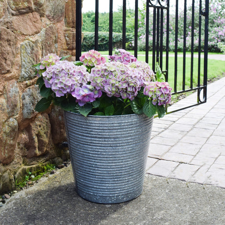 galvanised ribbed planter