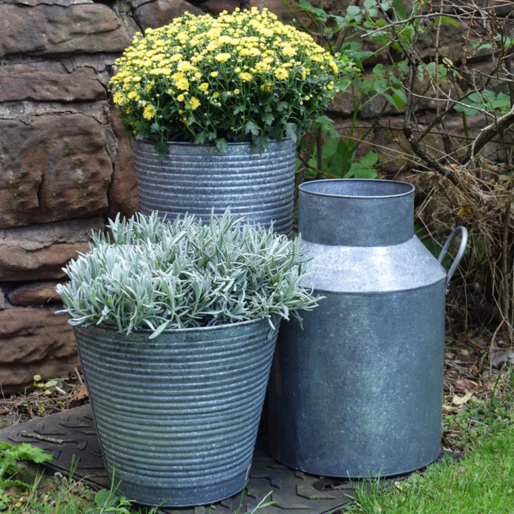 ribbed galvanised steel set in garden