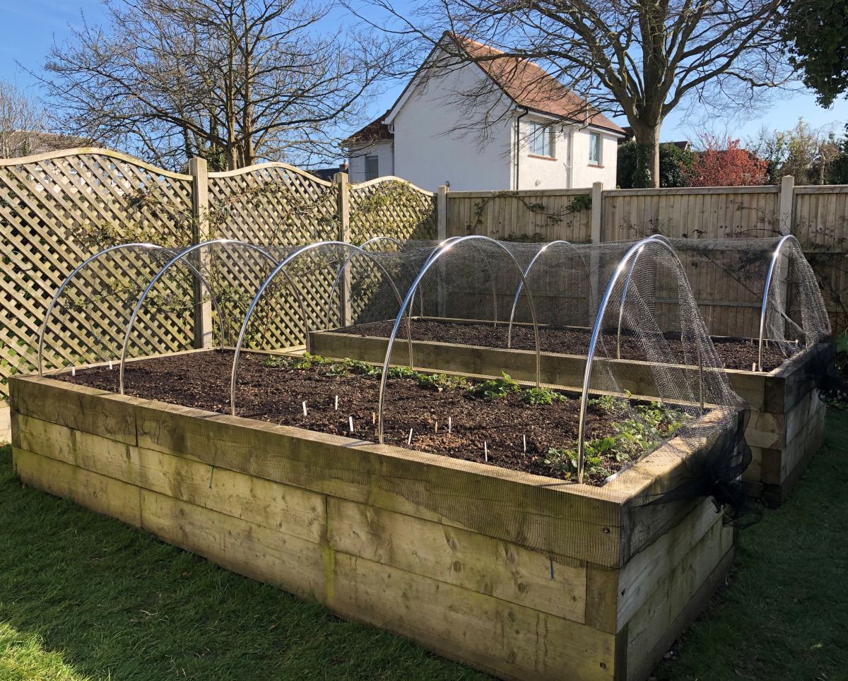 round aluminium hoops in raised bed