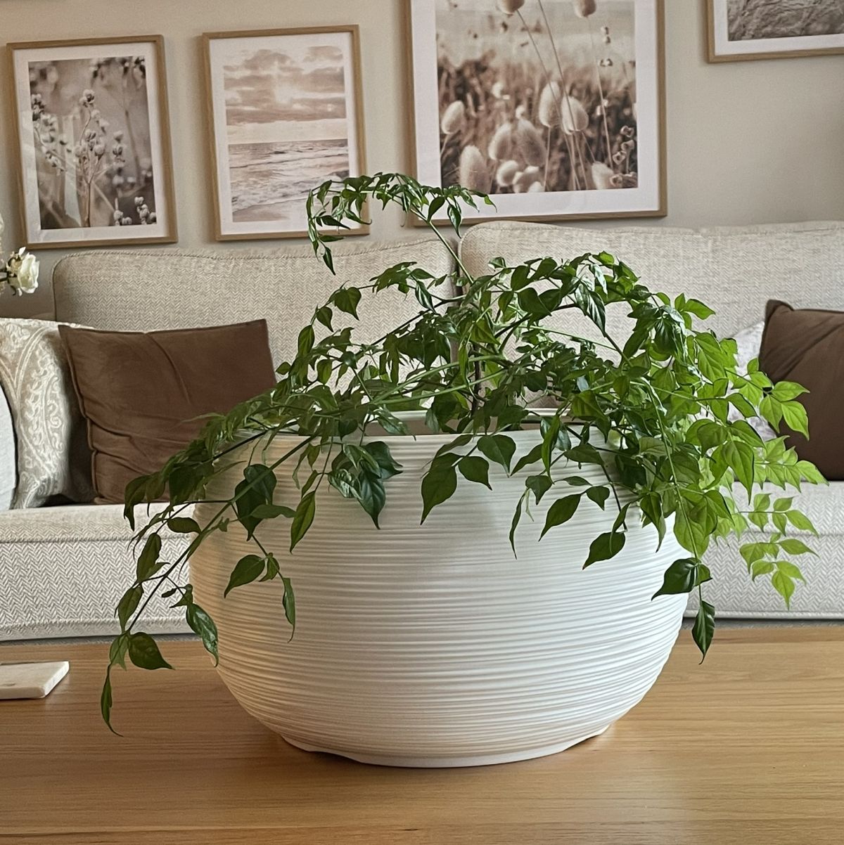 Round Plant Pot White and Grey Fora