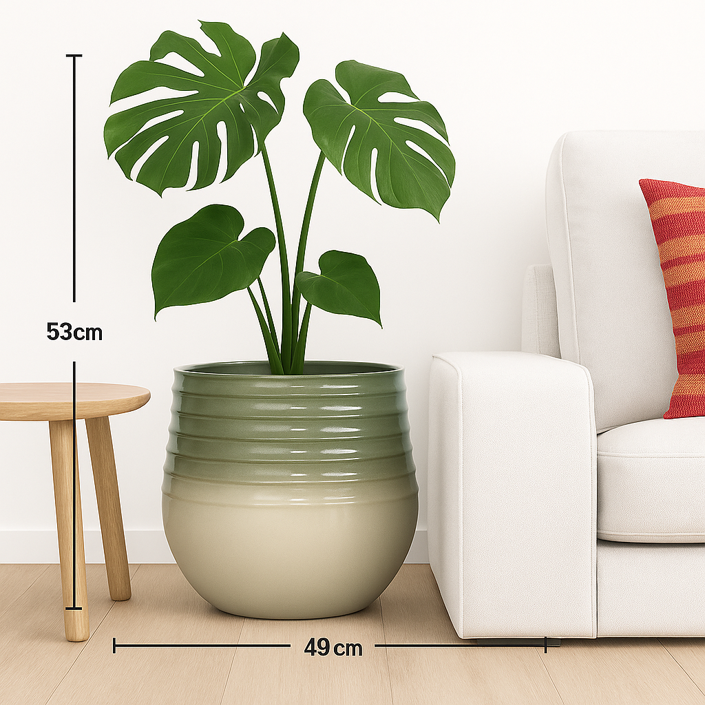 sage and cream plant pot in living room