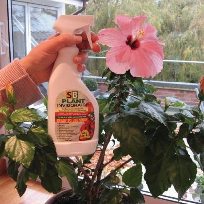 SB Plant Invigorator Natural Insect Repeller'