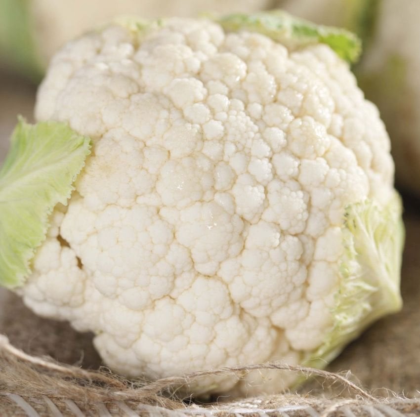 Organic Cauliflower Seeds for Home Gardens