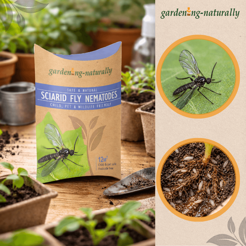 Package of garden-naturally sciarid fly nematodes with images of nematodes and text on a gardening-themed background.