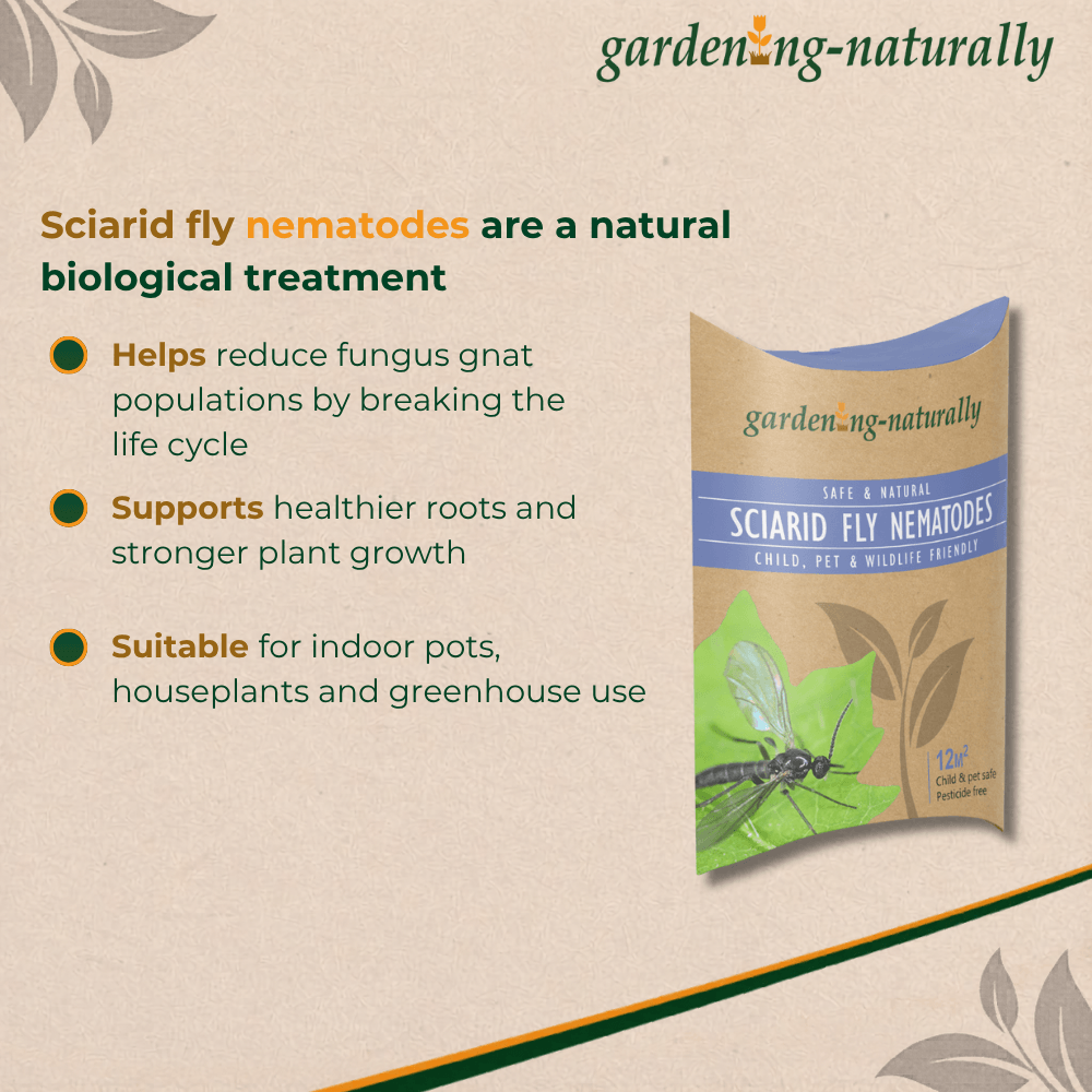 Package of Sciarid fly nematodes with text on a beige background