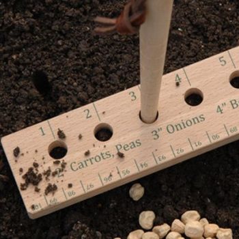 A wooden seed and plant spacing ruler